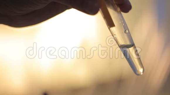一个实验室玻璃吸管的特写镜头在浅背景的试管中加入石蕊纸视频的预览图