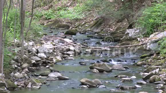充满岩石的溪流7个中的4个视频的预览图