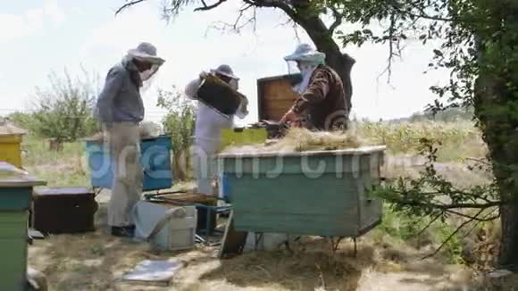 三个养蜂人站在蜂巢附近准备抽水视频的预览图