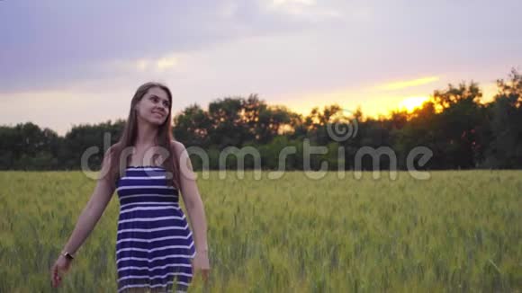 微笑的女孩正在夕阳下穿过麦田视频的预览图