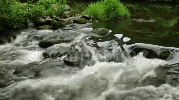 德文郡达特穆尔一条流动的河流视频的预览图