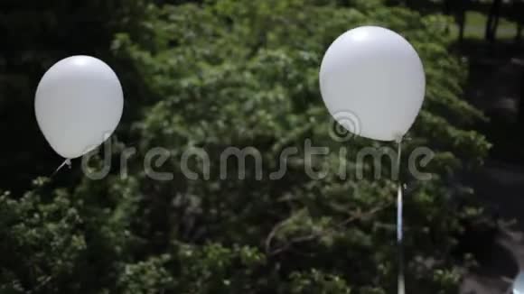 树背景上的白色气球视频的预览图