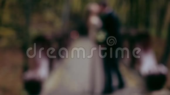 优雅的一对夫妇手牵手站在桥上亲吻视频的预览图