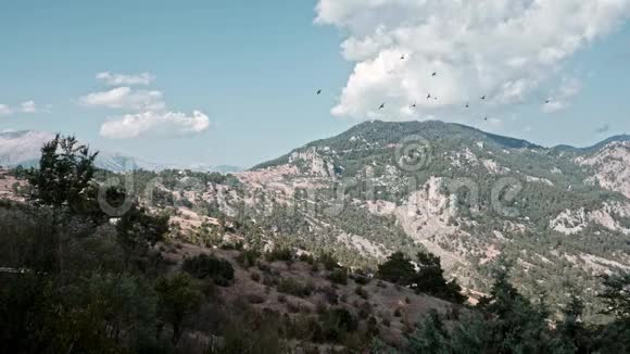鸟儿在山里飞翔土耳其凯默视频的预览图