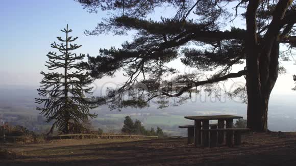 伦敦附近的英国乡村早春山榉木复制空间背景老树云杉和一张桌子视频的预览图