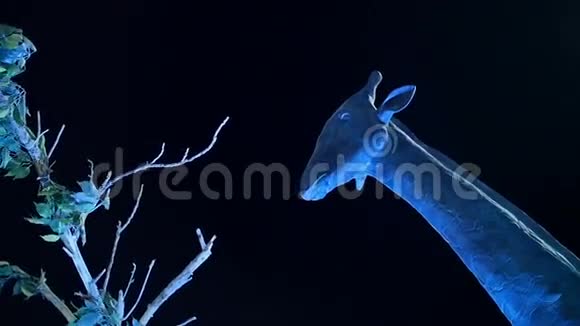 夜光中的长颈鹿雕像视频的预览图