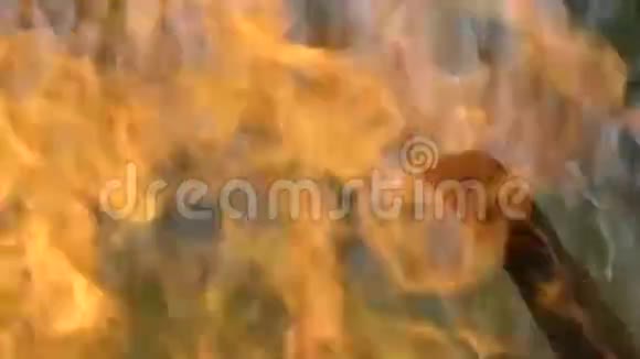 在高高的草地上燃烧着强烈的火焰视频的预览图