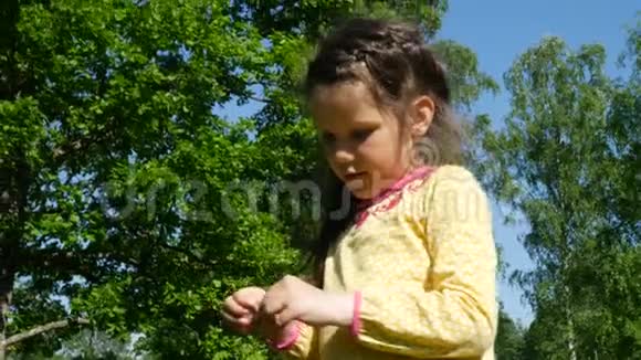 一个孩子在公园里玩蒲公英视频的预览图