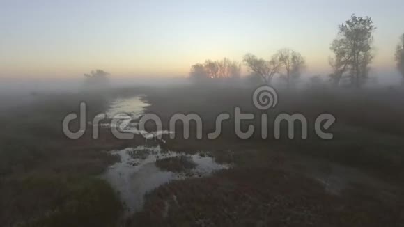 鸟瞰晨雾在河上飞翔森林谷日出景观全景视频的预览图