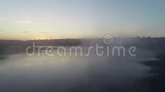 晨雾中的森林湖在黎明的阳光下视频的预览图