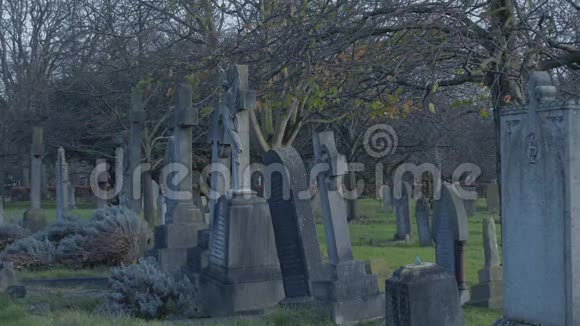 墓地上的老墓碑视频的预览图