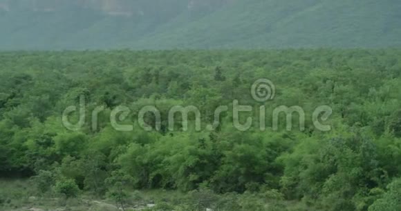 摄像机正在慢慢地拍着可以看到一片巨大的森林山脉的全景视频的预览图
