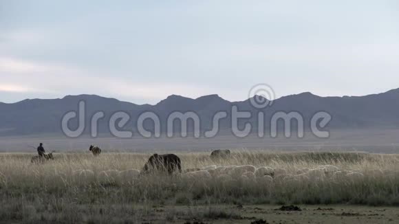 蒙古风景中的游牧民族视频的预览图