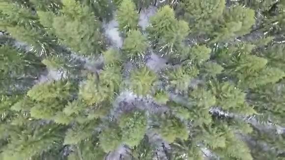 飞越冬林视频的预览图