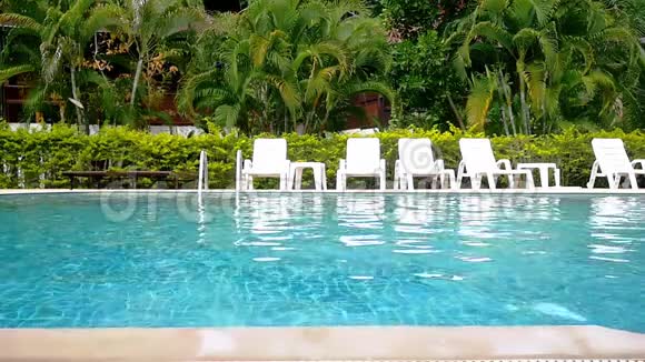 热带花园的游泳池和棕榈树晴天游客乐园慢动作1920x1080视频的预览图
