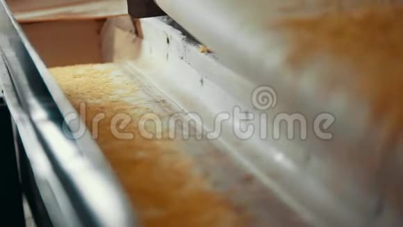 Pasta制造厂生产线成品视频的预览图