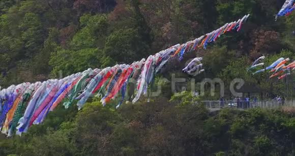 伊巴拉基大桥的鲤鱼流光白天阳光明媚视频的预览图