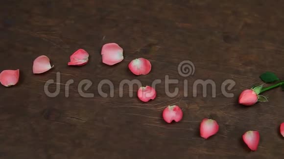 粉色花瓣玫瑰木桌高清镜头视频的预览图