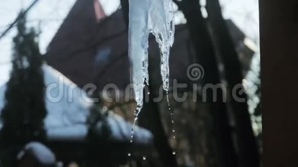 冬天的冰在前景中融化视频的预览图