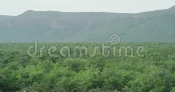摄像机正在慢慢地拍着可以看到一片巨大的森林山脉的全景视频的预览图