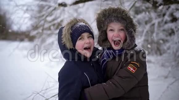 快乐有趣的孩子们站在下雪的树下两个人微笑着真的很开心这就是视频的预览图