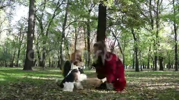 在树间的公园里女孩们被教导给狗爪子视频的预览图