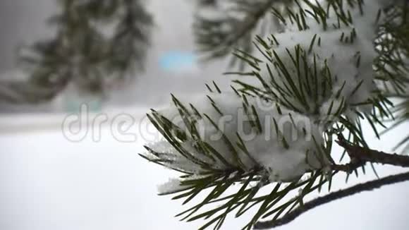 积雪覆盖的飞针和雪道上的散焦汽车视频的预览图