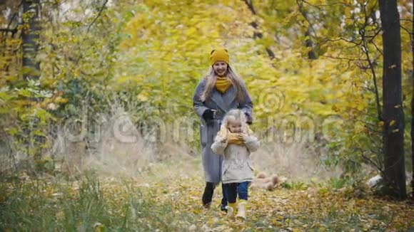 欢乐可爱的小女孩小女儿在秋天的公园里笑着和妈妈玩追赶慢动作视频的预览图