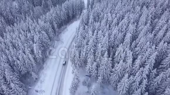 空中飞行穿越冬季森林和公路视频的预览图