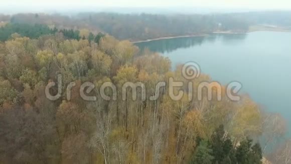 秋天森林里的湖视频的预览图