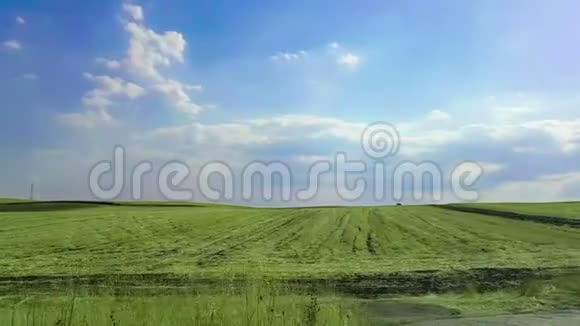 阳光明媚蓝天白云的阳光下绿色草地景观全景用杜丽相机和慢镜头拍摄视频的预览图