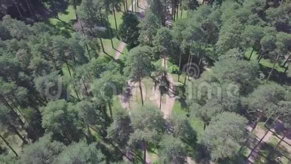 空中无人驾驶飞机滑翔射击阳光森林公园剪辑周末春季公园的俯视图视频的预览图