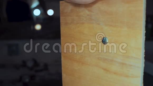 男子使用钢钻和普通螺丝刀在木盘黑色背景慢动作视频的预览图