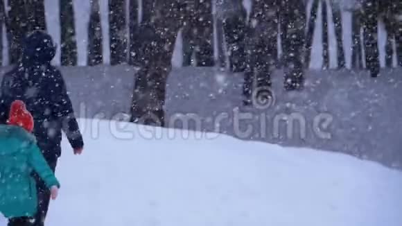 爸爸和女儿在下雪的时候在松林里散步慢动作视频的预览图