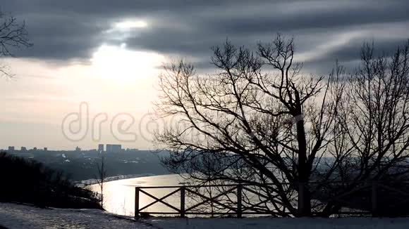冬季景观没有叶子的树透过灰色的云层可以看到太阳视频的预览图