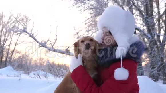 美丽的女孩微笑抚摸她心爱的狗在公园冬天冬天在森林里带着猎狗散步的女孩视频的预览图