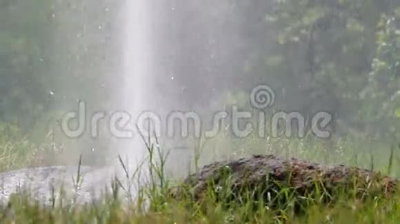 草地后面的间歇喷泉视频的预览图