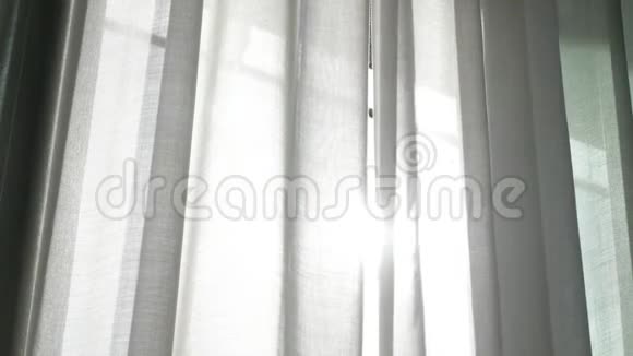 窗上一层透明的帘子被风轻轻地移动着阳光4k视频的预览图