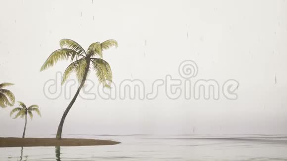 有棕榈树的暴风雨天气视频的预览图