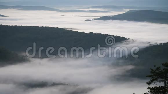 云移过松树高地森林乌拉尔山的雾状晨景视频的预览图