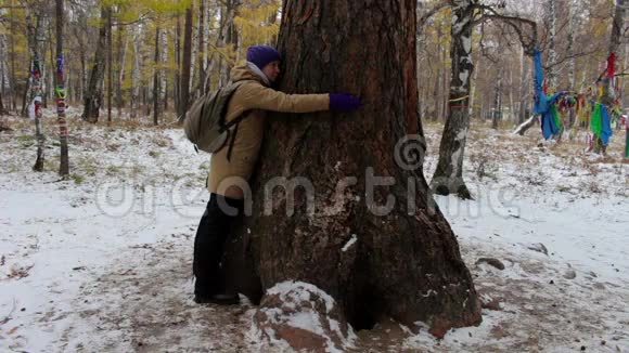 在冬天的森林里拥抱一棵大树的女孩视频的预览图