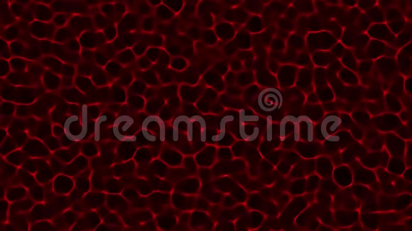4K动画背景模仿海底水引起的焦散效应视频的预览图