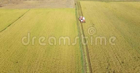 联合收割机运行阿米德金稻田在泰宁省越南视频的预览图