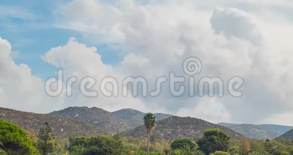 山景和云雾棕榈树时间推移视频的预览图