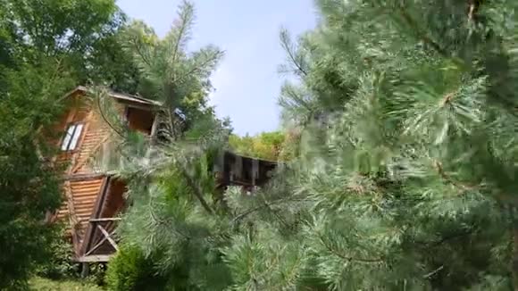 野山树间4K木屋视频的预览图