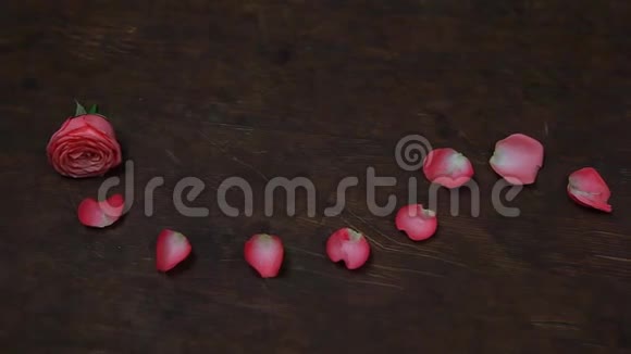 粉色花瓣玫瑰木桌高清镜头视频的预览图