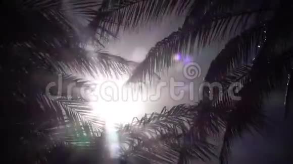 树叶从一棵棕榈树上随风摇摆从日落中发出明亮的光关门视频的预览图