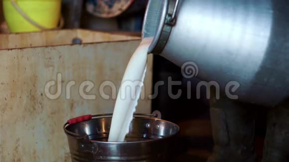 新鲜牛奶倒在桶里牛奶视频的预览图