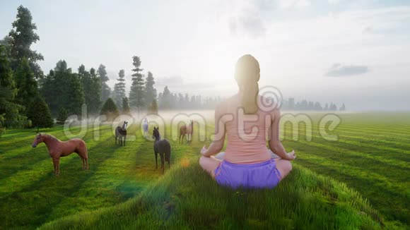 一位美丽的年轻女子坐在美丽的森林附近的绿草上的莲花位置瑜伽课程视频的预览图