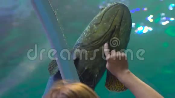 一名年轻女子在水族馆的管道里看鱼时被偷拍视频的预览图
